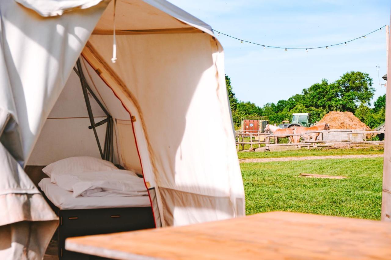 Отель Domo Camp - Nature Glamping Hof Viehbrook Rendswuhren Экстерьер фото